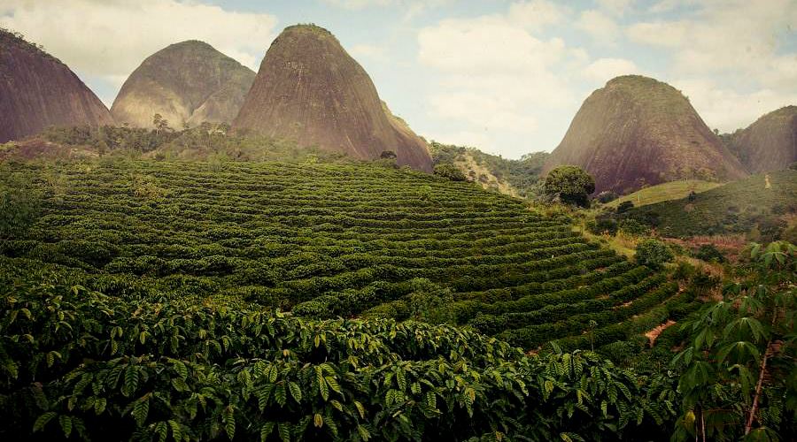 635910744608299251-278970004_coffee-plantations-brazil